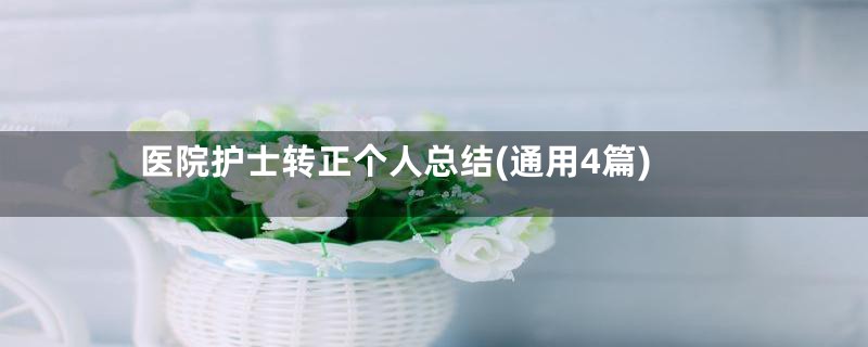 医院护士转正个人总结(通用4篇)