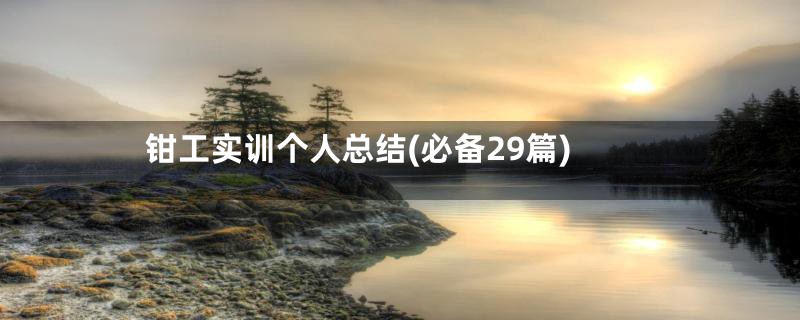 钳工实训个人总结(必备29篇)