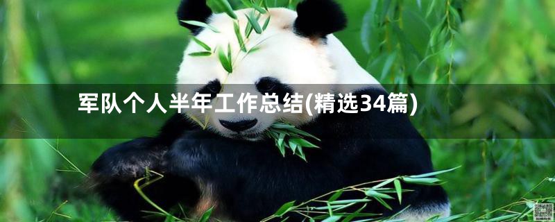 军队个人半年工作总结(精选34篇)