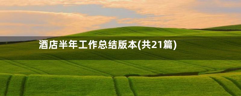 酒店半年工作总结版本(共21篇)