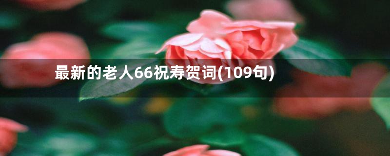 最新的老人66祝寿贺词(109句)