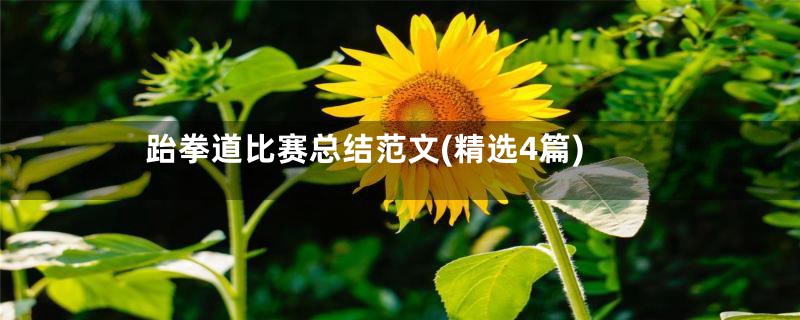跆拳道比赛总结范文(精选4篇)