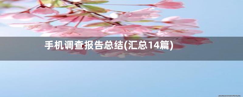 手机调查报告总结(汇总14篇)