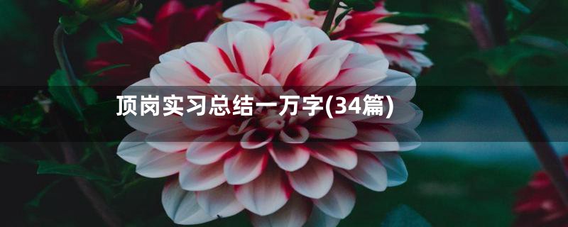 顶岗实习总结一万字(34篇)