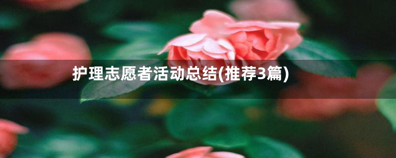 护理志愿者活动总结(推荐3篇)