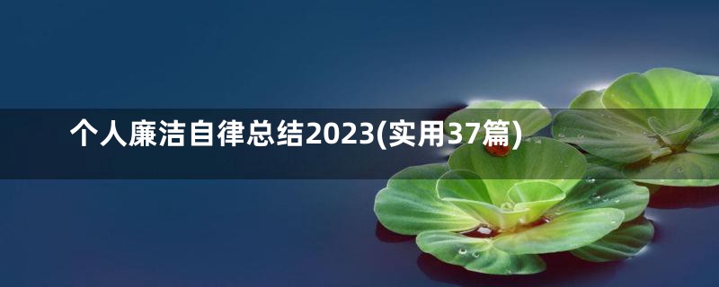 个人廉洁自律总结2023(实用37篇)