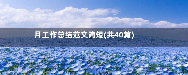 月工作总结范文简短(共40篇)
