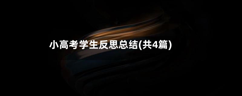 小高考学生反思总结(共4篇)
