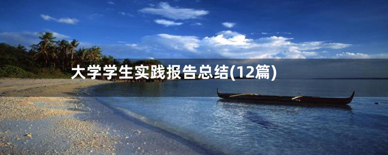 大学学生实践报告总结(12篇)