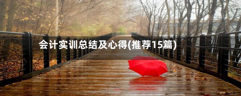 会计实训总结及心得(推荐15篇)