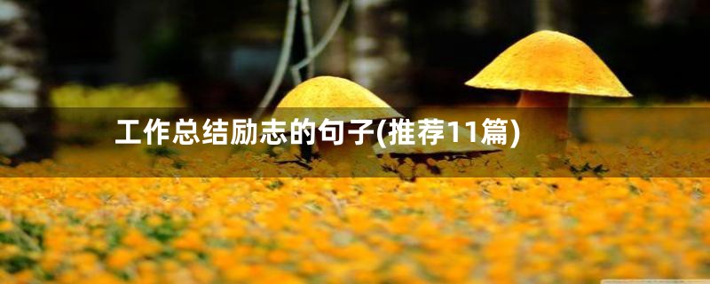 工作总结励志的句子(推荐11篇)