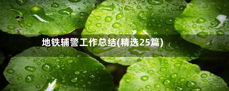 地铁辅警工作总结(精选25篇)