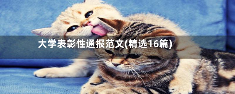 大学表彰性通报范文(精选16篇)