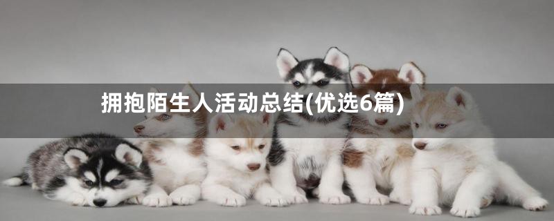 拥抱陌生人活动总结(优选6篇)