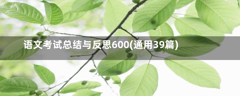 语文考试总结与反思600(通用39篇)