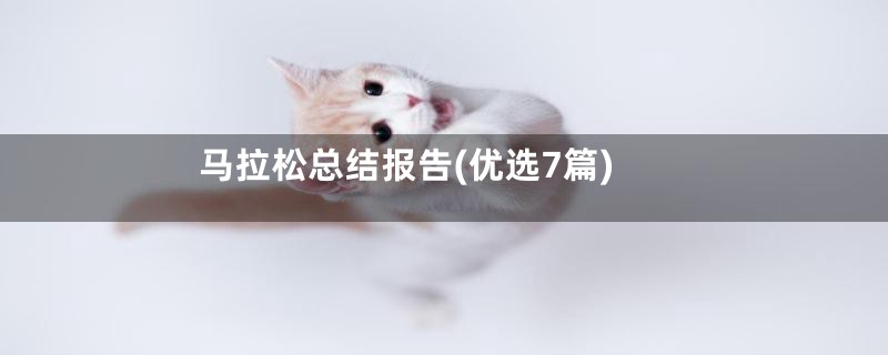 马拉松总结报告(优选7篇)