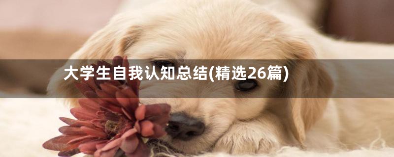大学生自我认知总结(精选26篇)