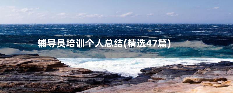 辅导员培训个人总结(精选47篇)
