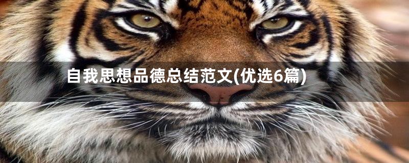 自我思想品德总结范文(优选6篇)