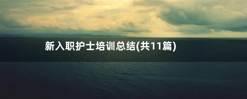 新入职护士培训总结(共11篇)
