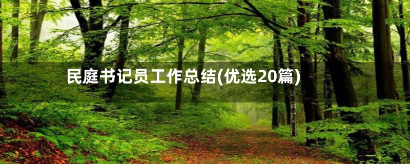 民庭书记员工作总结(优选20篇)