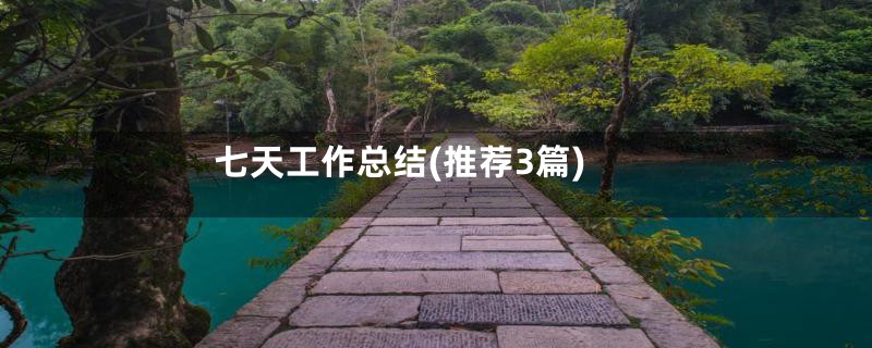 七天工作总结(推荐3篇)