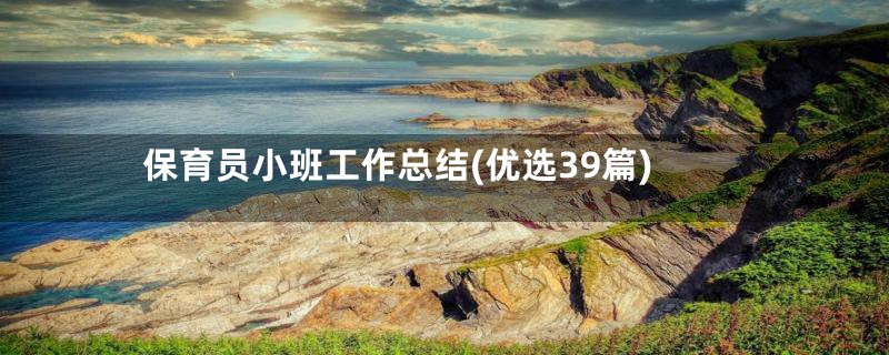 保育员小班工作总结(优选39篇)