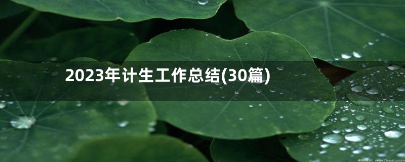 2023年计生工作总结(30篇)