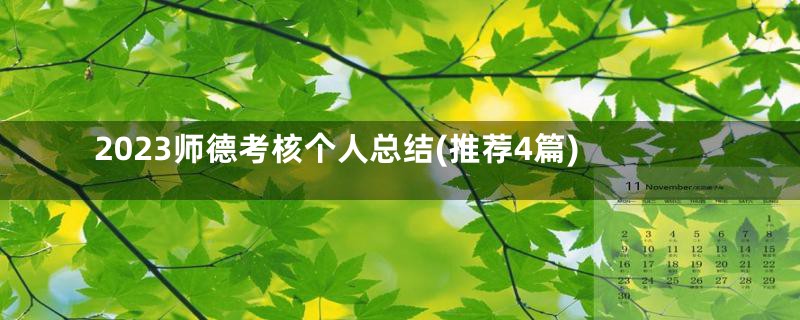 2023师德考核个人总结(推荐4篇)