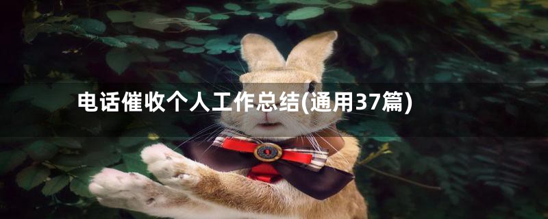 电话催收个人工作总结(通用37篇)