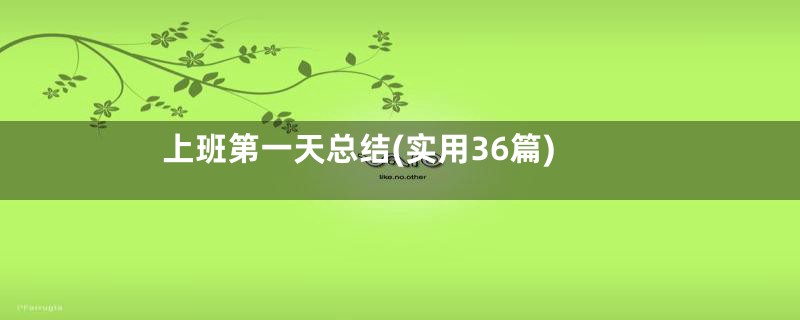 上班第一天总结(实用36篇)