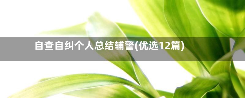 自查自纠个人总结辅警(优选12篇)