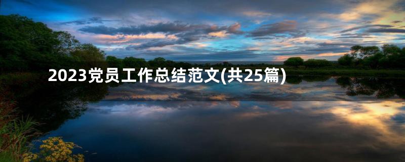 2023党员工作总结范文(共25篇)