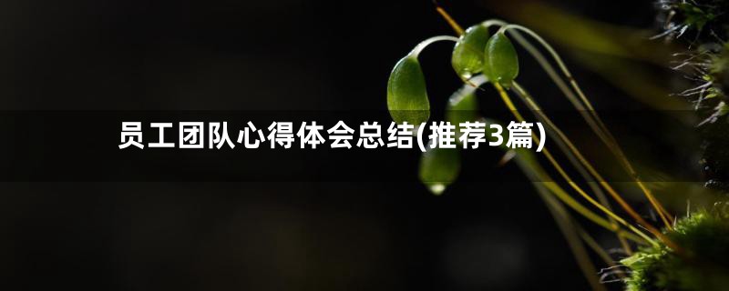 员工团队心得体会总结(推荐3篇)