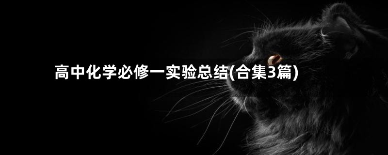 高中化学必修一实验总结(合集3篇)