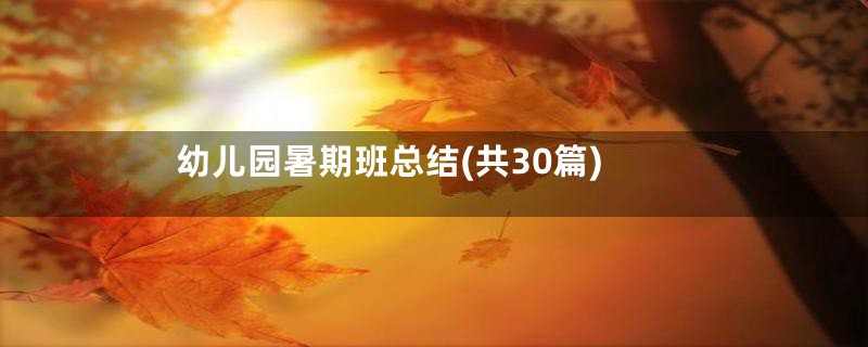 幼儿园暑期班总结(共30篇)