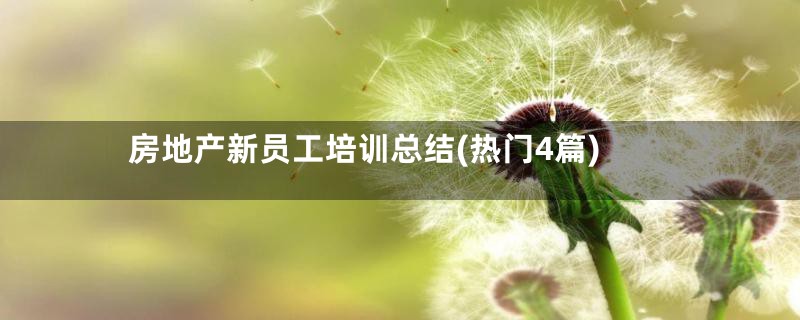 房地产新员工培训总结(热门4篇)