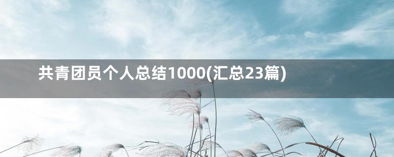 共青团员个人总结1000(汇总23篇)