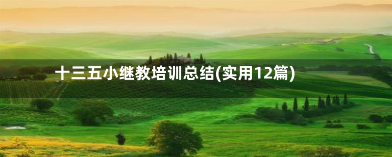 十三五小继教培训总结(实用12篇)