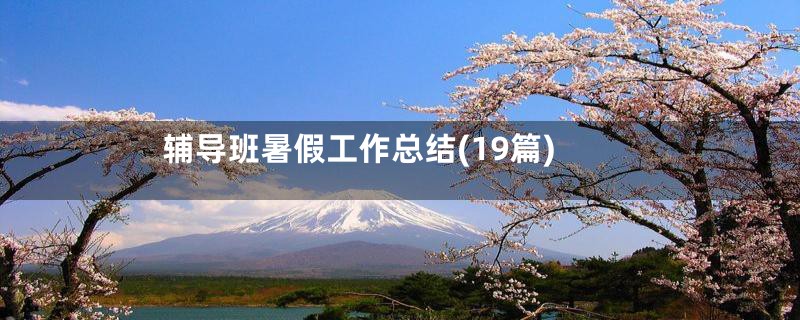 辅导班暑假工作总结(19篇)