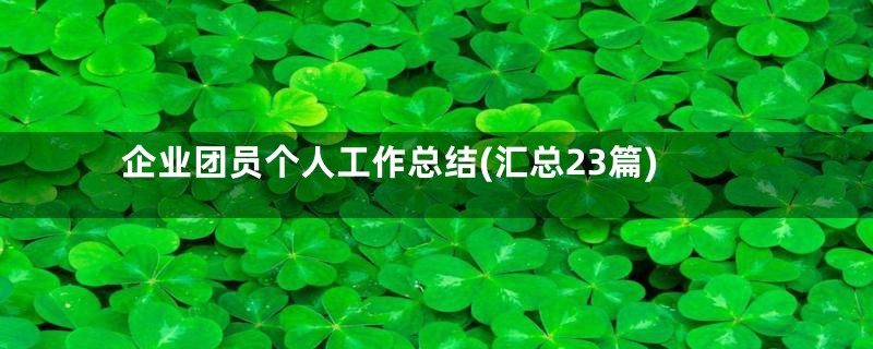 企业团员个人工作总结(汇总23篇)