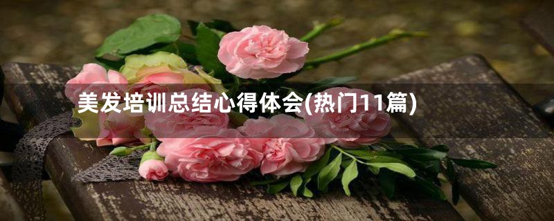 美发培训总结心得体会(热门11篇)