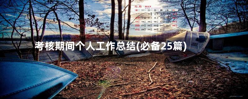 考核期间个人工作总结(必备25篇)