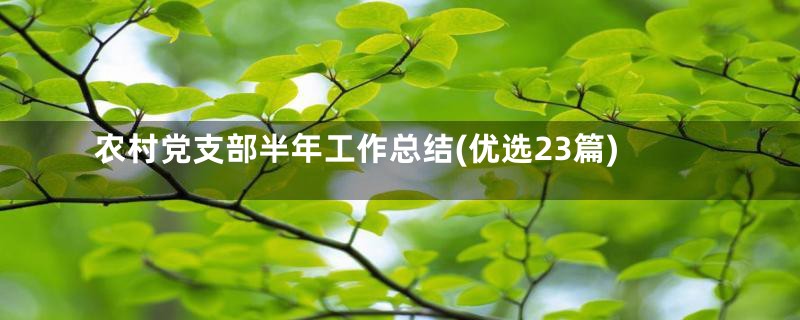 农村党支部半年工作总结(优选23篇)