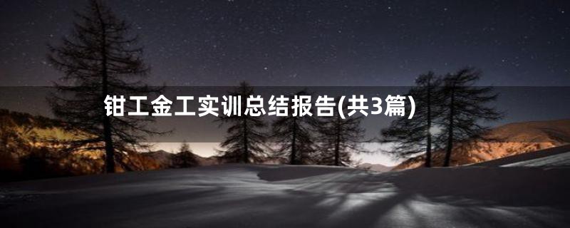 钳工金工实训总结报告(共3篇)