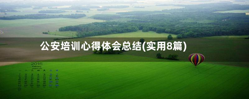 公安培训心得体会总结(实用8篇)