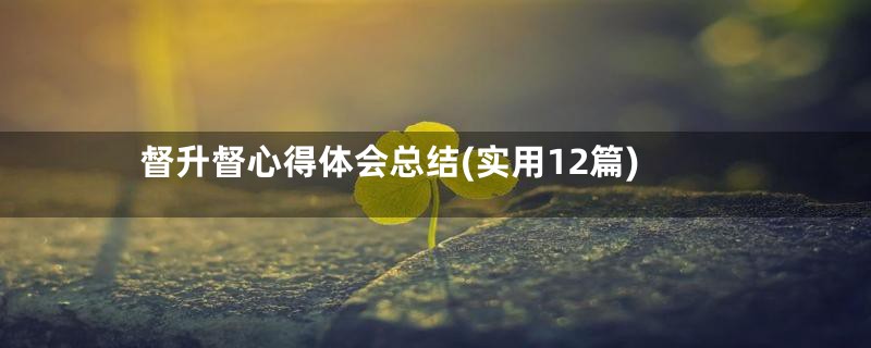 督升督心得体会总结(实用12篇)