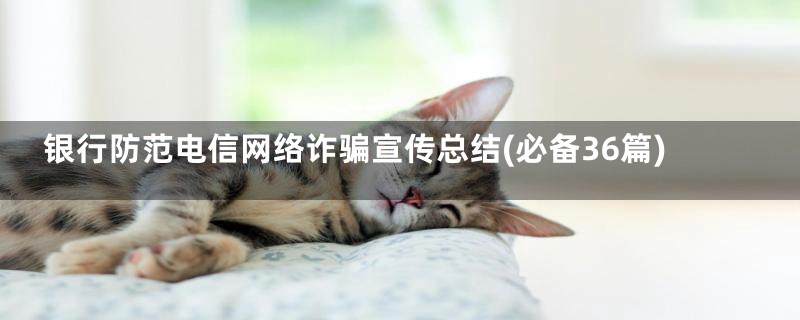 银行防范电信网络诈骗宣传总结(必备36篇)