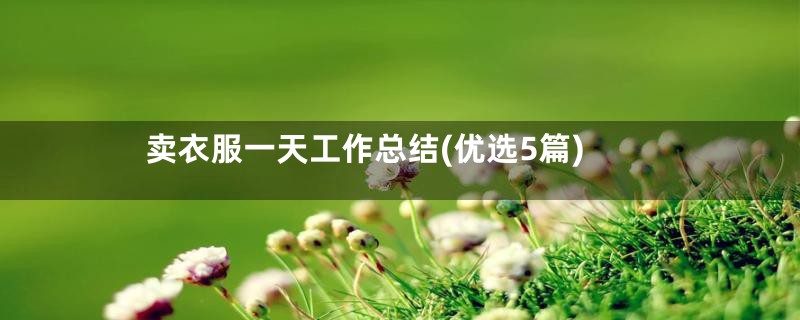 卖衣服一天工作总结(优选5篇)