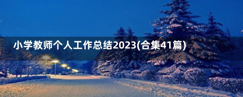 小学教师个人工作总结2023(合集41篇)